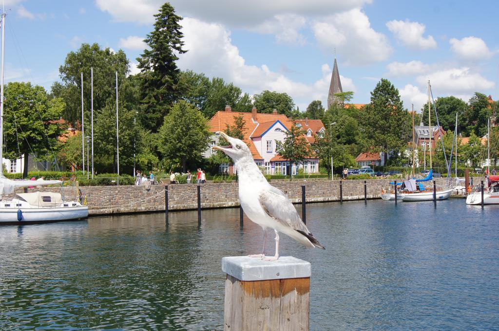Ostsee Ferienhaeuser Waabs 部屋 写真
